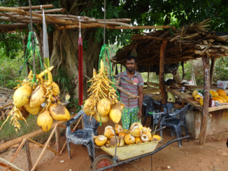 Sri Lanka - Fruitkraampje langs de weg