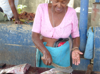 Sri Lanka - Vismarkt Negombo
