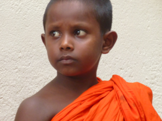 Sri Lanka - Jong geleerd....oud gedaan!