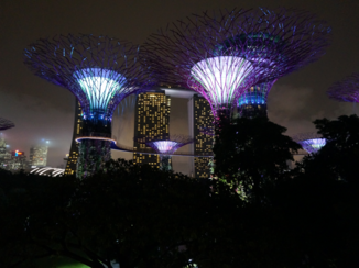 Singapore - Gardens by the Bay en Marina Bay Sands Hotel