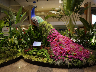 Singapore - Impressie van de botanische tuin op het vliegveld