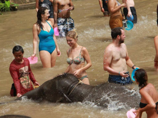 Rondreis Noord-Thailand - The elephant sanctuary