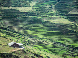 Rondreis Noord-Vietnam - Sapa