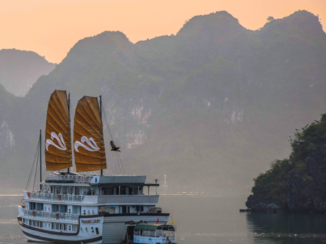 Rondreis Noord-Vietnam - Halong bay