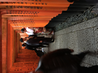 Kyoto - Liefde op een tradionele plaats