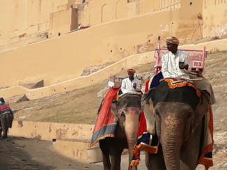 Jaipur - Amber fort