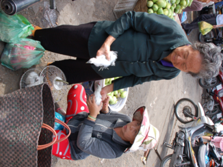 Rondreis Vietnam in twee weken - Doet er maar twee kilo van
