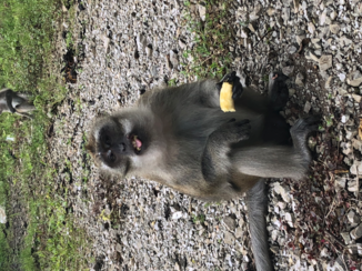 Rondreis Thailand in twee weken