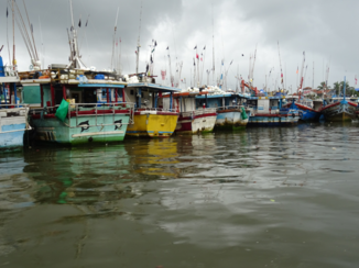 Sri Lanka - Dutch Canal - Negombo