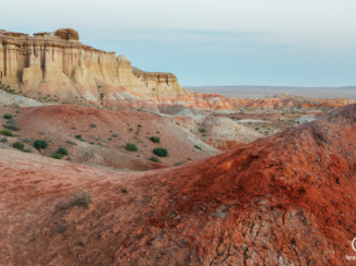 Gobiwoestijn - Flaming cliffs