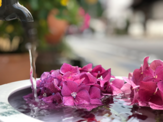 Japan - Dorogawa Hot Springs Japan