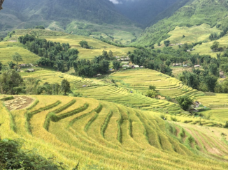 Rondreis Vietnam in vier weken