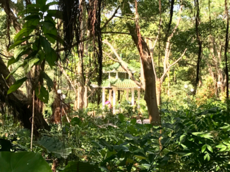 China - Lianhua Park