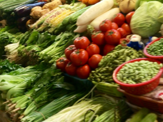 China - Shekou Wet Market