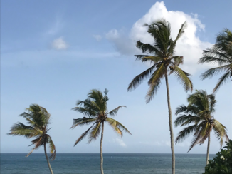 Sri Lanka - Tangalle