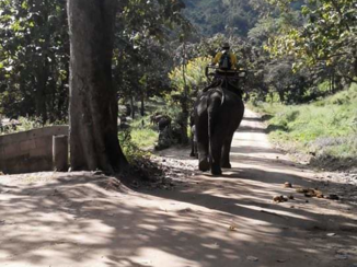 Rondreis Noord-Thailand - on tour dream court valley.