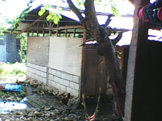 Filipijnen - ons huisje