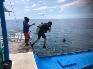 Filipijnen - Duiken vanaf de boot