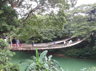 Filipijnen - Wandeling over de bamboe brug