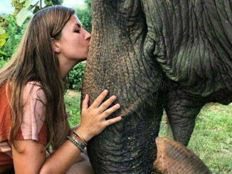 Chiang Mai - Please, don't ride elephants! And just show them your love. They will show you theirs as well!