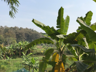 Rondreis Noord-Thailand - Noord Thailand