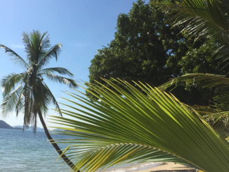 Rondreis Thailand in vier weken