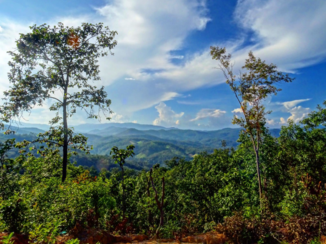 Thailand - Uitzicht tijdens trekking Chian Mai!