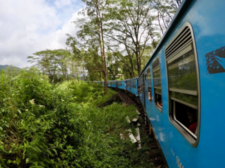 Sri Lanka - Treinsreis Ella