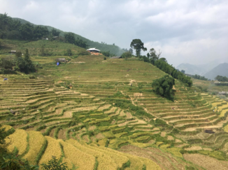 Vietnam - Sapa