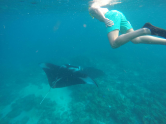 Malediven - Mantarays