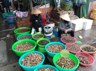 Halong Bay - Markt halong!