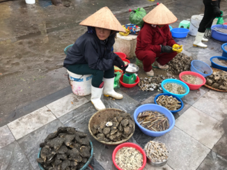 Halong Bay - Vis ,vis ,vis