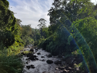 Adam's Peak - een rivier onderweg naar beneden