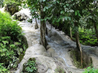 Thailand - Sticky waterfalls Chiang Mai