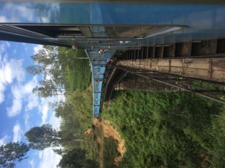 Sri Lanka - Wondermooie treinreis van Kandy naar Ella