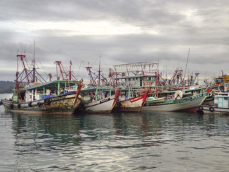 Rondreis door Maleisisch Borneo - Haven van Kota Kinabalu