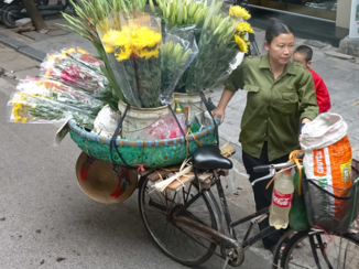 Rondreis Vietnam & Cambodja