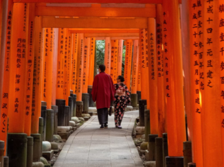 Kyoto - torii gates