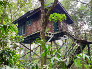 Rondreis door Maleisisch Borneo