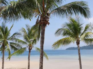 Rondreis door Maleisisch Borneo