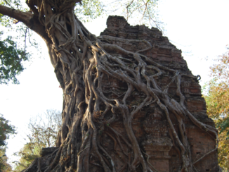 Cambodja - Sambor Prei Kuk