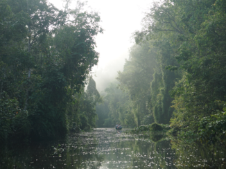 Rondreis door Maleisisch Borneo