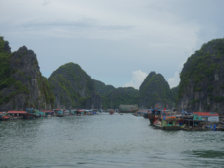 Rondreis Vietnam in vier weken - Cat ba