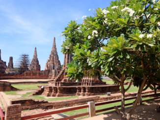 Thailand - Ayutthaya
