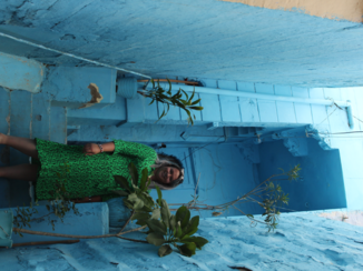 Jodhpur - De blauwe stad