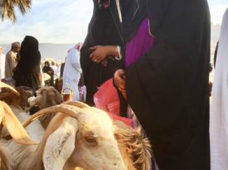 Oman - Geitenmarkt van Nizwa