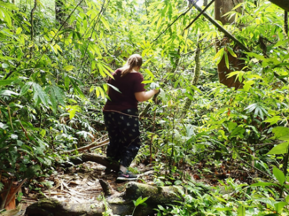 Khao Sok National Park - Trekking door de jungle