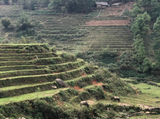 Rondreis Vietnam in vier weken