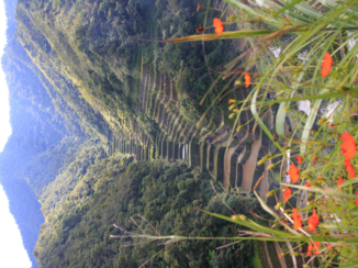 Filipijnen - Rijstvelden in het binnenland.