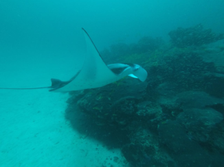 Malediven - Malediven